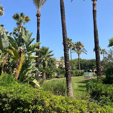 Lady Of The Night Μαρμπέλλα