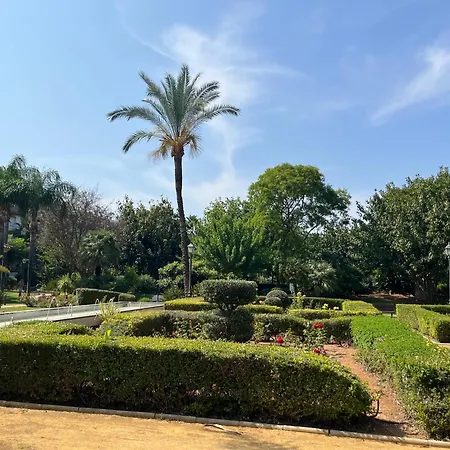 Lady Of The Night * Μαρμπέλλα