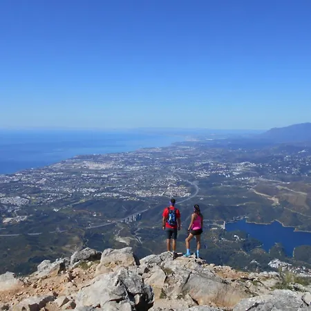 Lady Of The Night Μαρμπέλλα